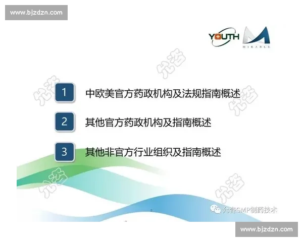 全面汇聚四百个体育相关词汇解析与深度应用指南